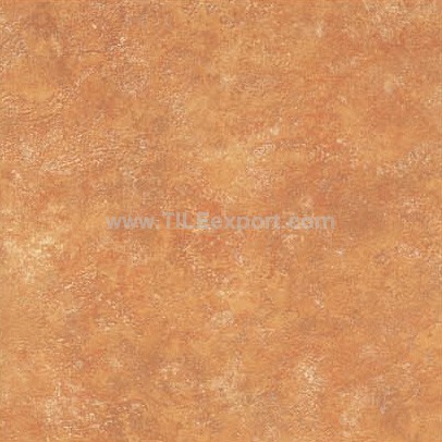 Floor_Tile--Porcelain_Tile,600X600mm[GX],C61212